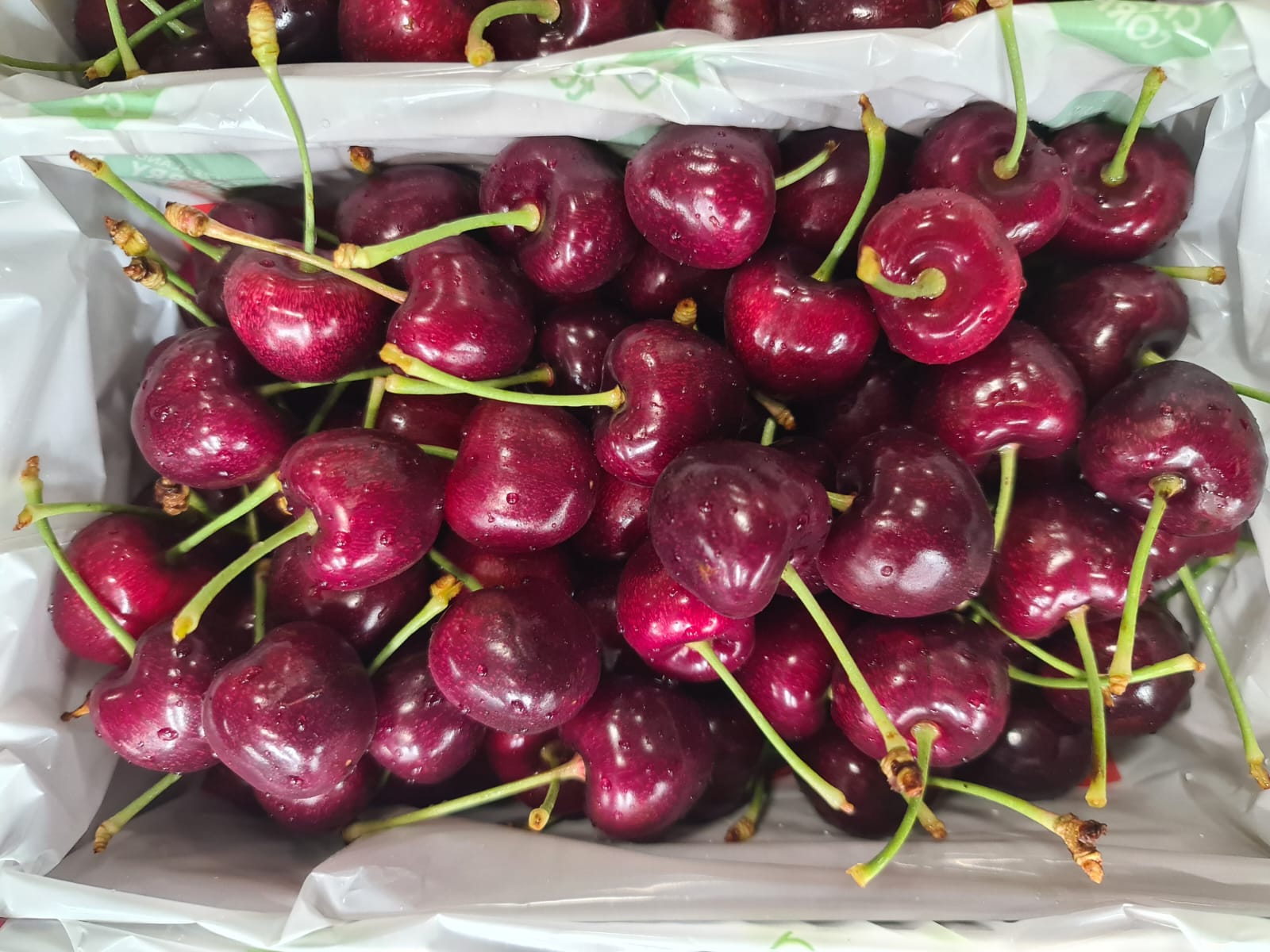 Fresh Box of Cherries