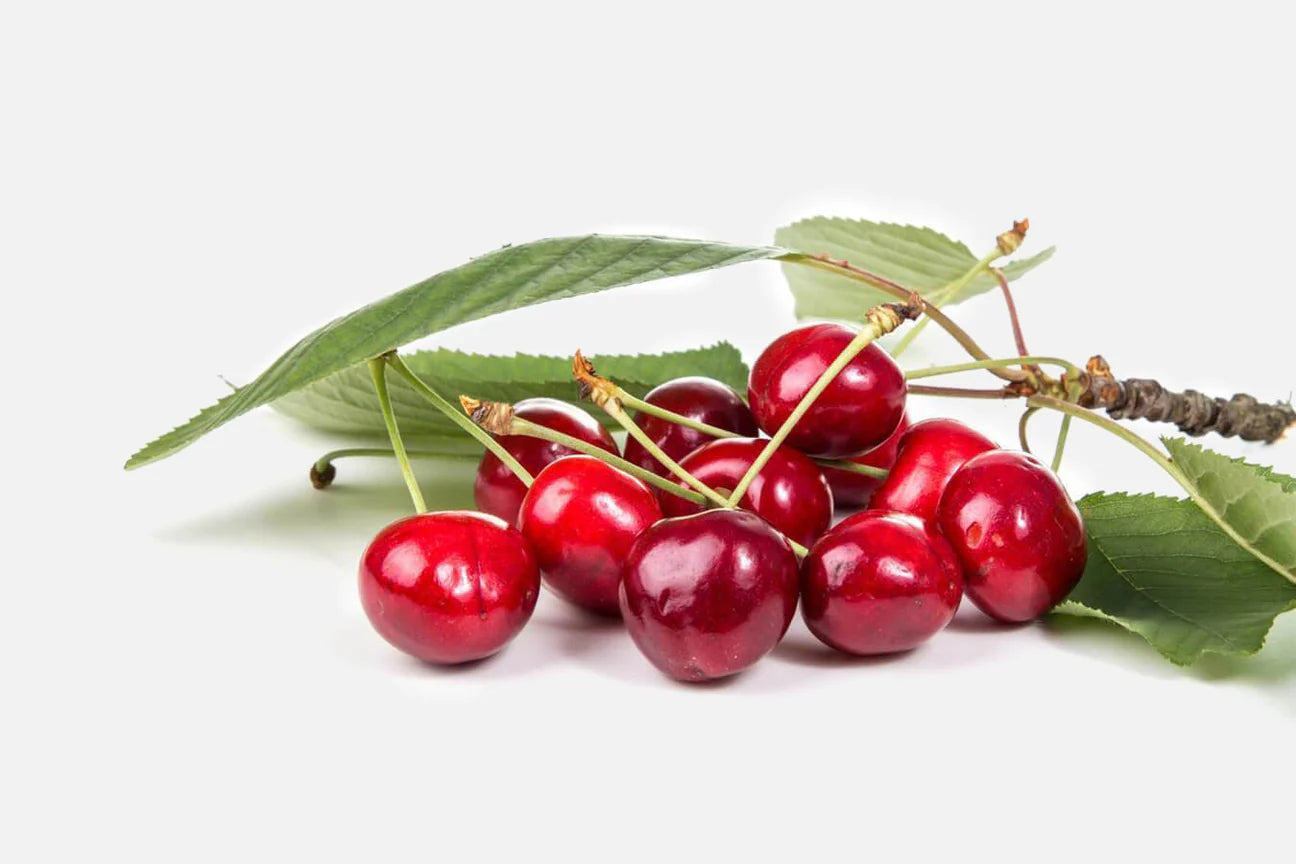 Mr Henry Cherries Single Branch